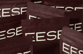 Why Eese Was Founded